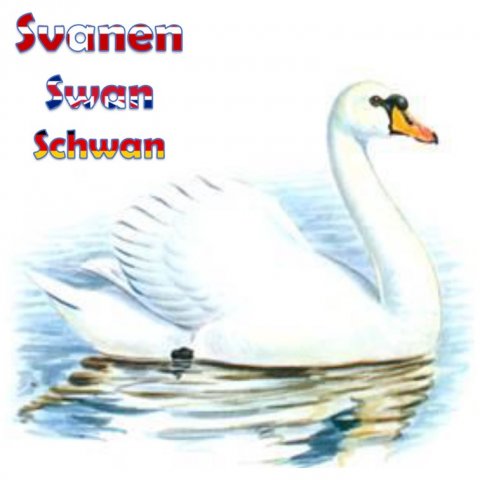 Svanen